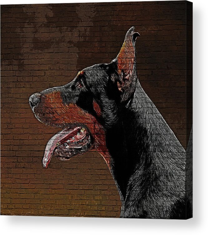 Dobermann Acrylic Print featuring the painting So cute but savage, Dobermann Pinscher Dog by Custom Pet Portrait Art Studio