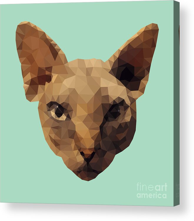 Sphynx Acrylic Print featuring the digital art Sphynx Cat by Jindra Noewi