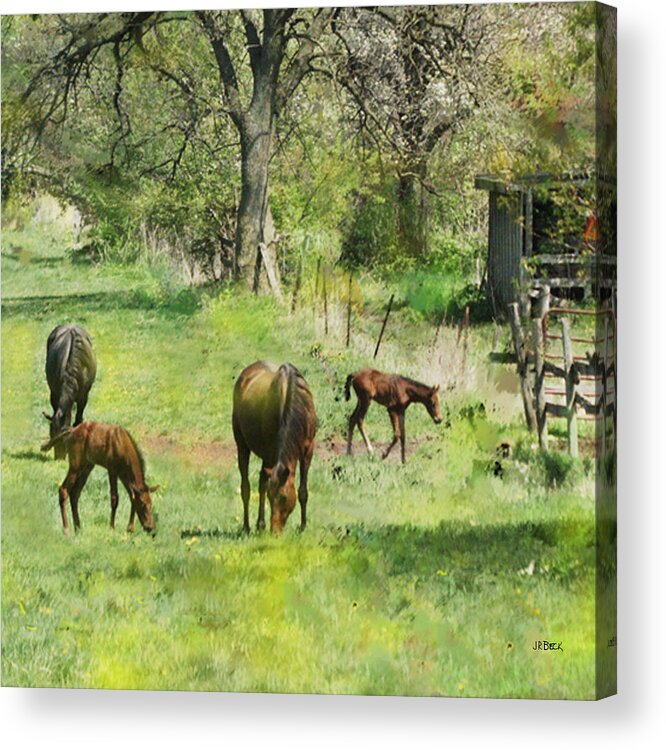 Horses Acrylic Print featuring the digital art Spring Colts - Square Version by Studio B Prints