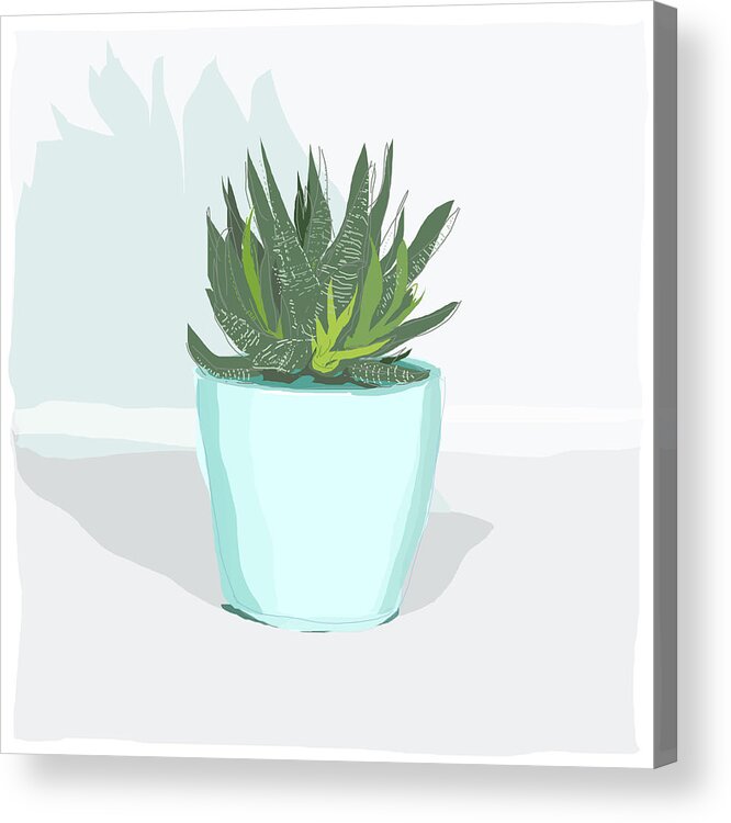Cactus Acrylic Print featuring the drawing 0065-Succulent Blue by Anke Classen