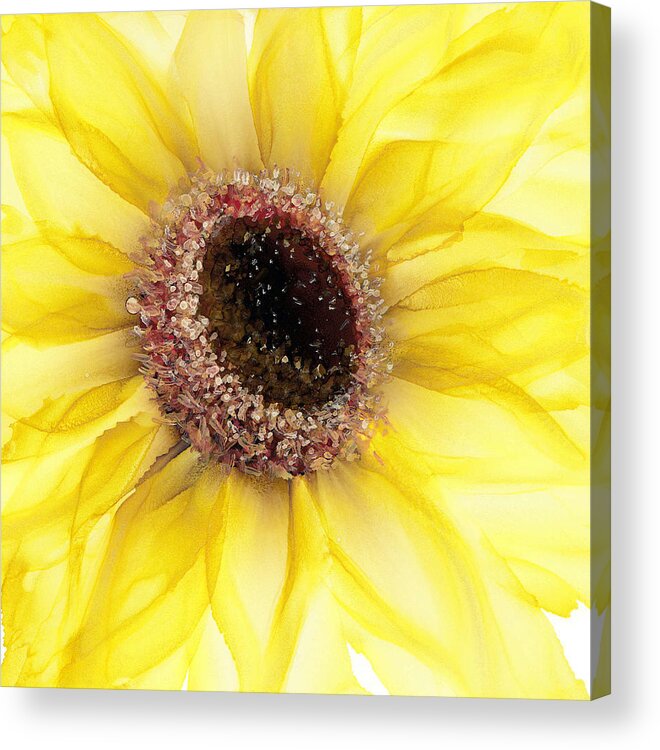 Sunflower Acrylic Print featuring the painting Sunflower of Peace No.1 by Kimberly Deene Langlois