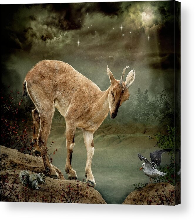 Goat Acrylic Print featuring the digital art Sure Footed by Maggy Pease