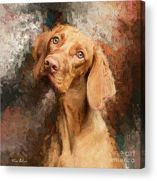 Vizsla Acrylic Print featuring the painting Sweet Little Pout by Tina LeCour