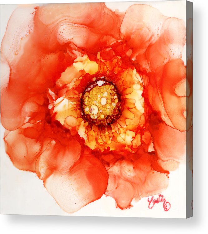 Tangerine Wild Rose Acrylic Print featuring the painting Tangerine Wild Rose by Daniela Easter