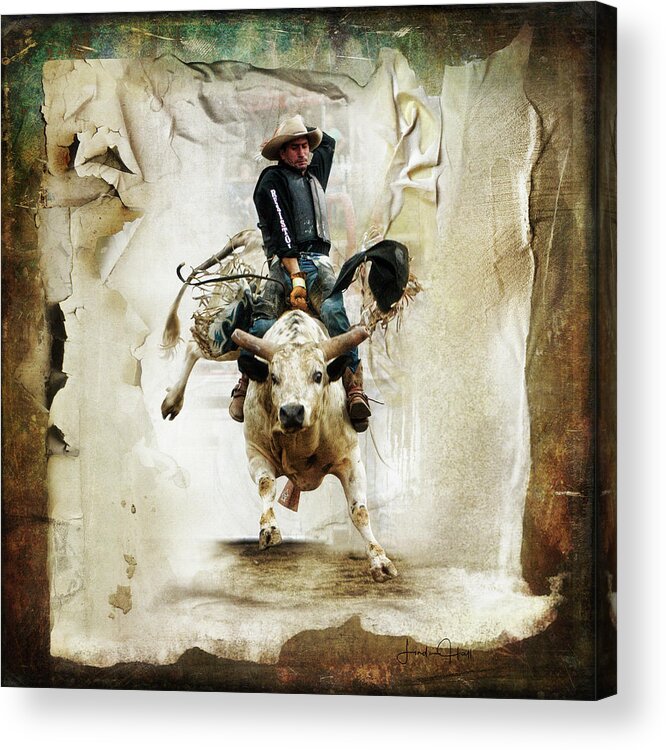 Bull Acrylic Print featuring the digital art The Bull Rider by Linda Lee Hall