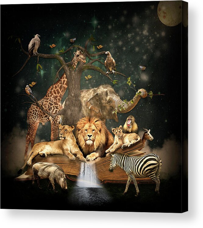 Lions Acrylic Print featuring the photograph The Kingdom by Maggy Pease