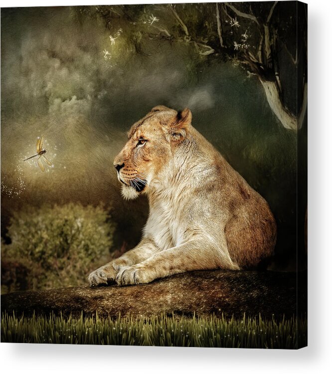 Lioness Acrylic Print featuring the digital art The Lioness by Maggy Pease