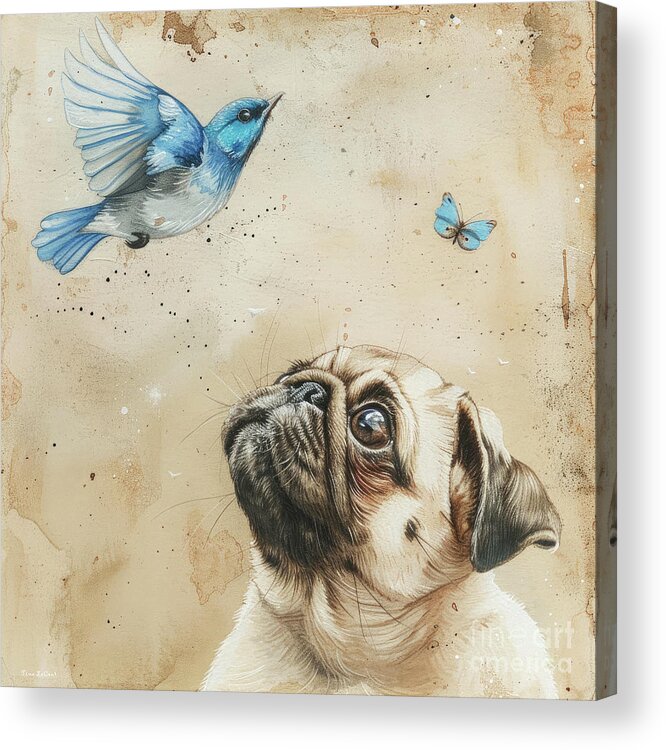 Pug Acrylic Print featuring the painting The Mesmerized Pug by Tina LeCour