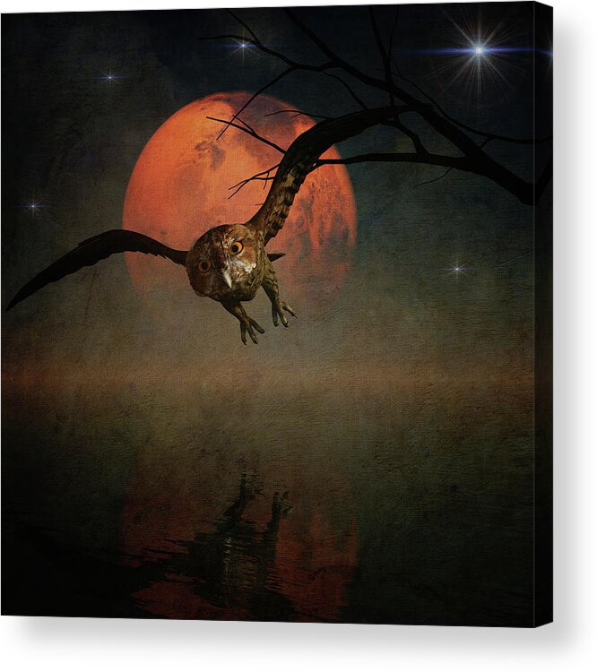 Owl Acrylic Print featuring the digital art The owl goes hunting in the night by Jan Keteleer