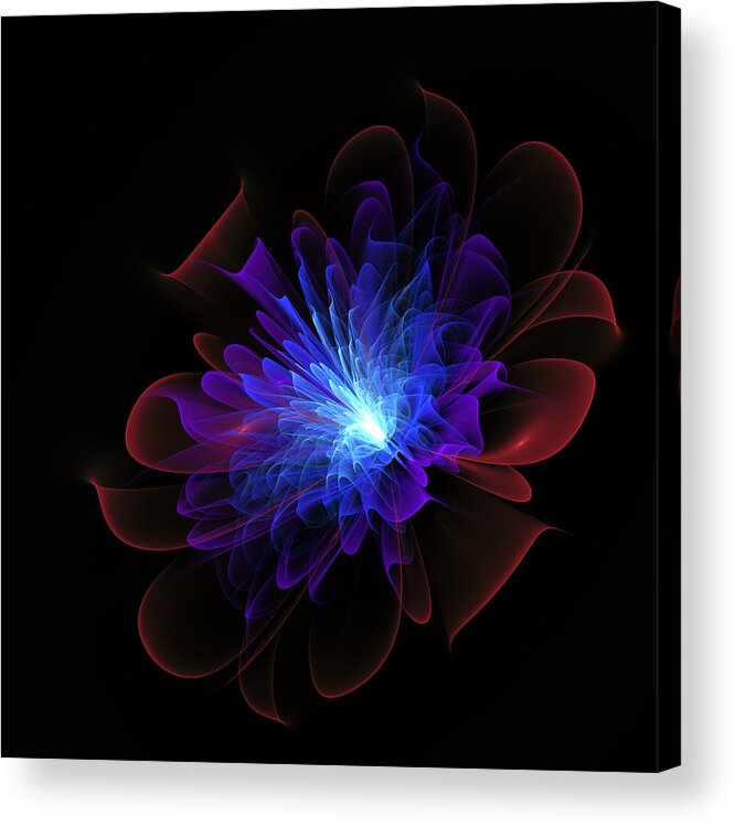 1. Fractal Acrylic Print featuring the digital art The Rose #5 by Mary Ann Benoit