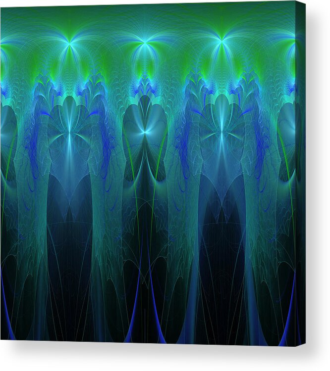 Fractal Acrylic Print featuring the digital art The Shiny Ones by Mary Ann Benoit