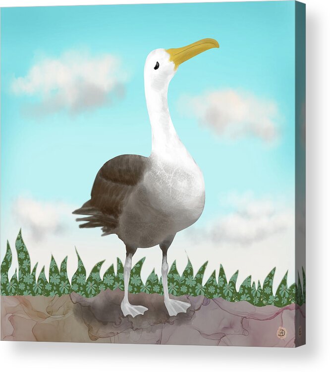 Albatros Bird Acrylic Print featuring the digital art The Waved Albatross from Galapagos by Andreea Dumez