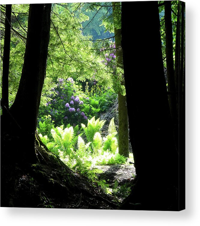 Shadow Acrylic Print featuring the photograph Through The Darkness by Catherine Arcolio