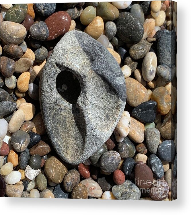 Rocks Acrylic Print featuring the photograph Tiny Universe by Wendy Golden