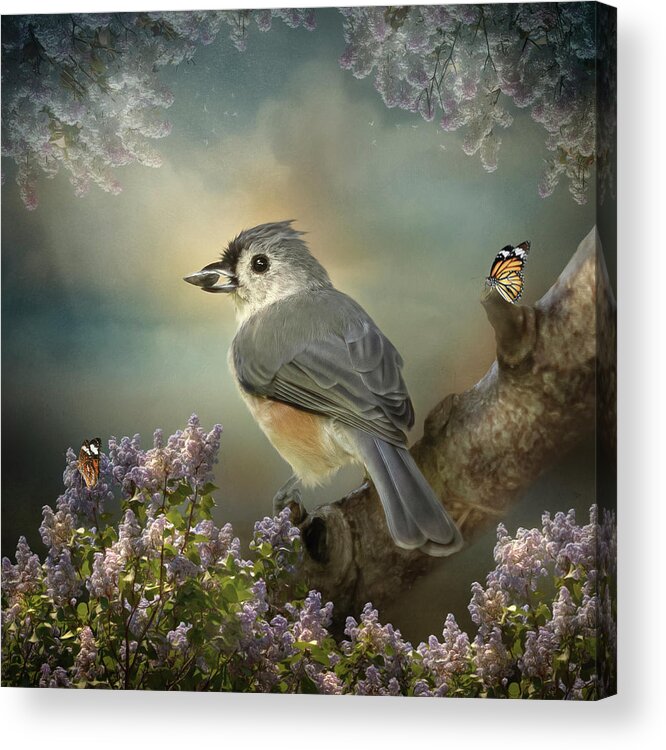 Birds Acrylic Print featuring the digital art Tomas the Titmouse by Maggy Pease