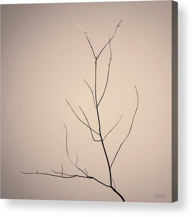 Abstract Acrylic Print featuring the photograph Tree Branches IV Toned by David Gordon