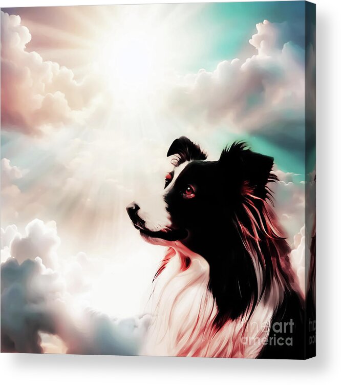 Animals Acrylic Print featuring the digital art Tri Color Border Collie by Eddie Eastwood