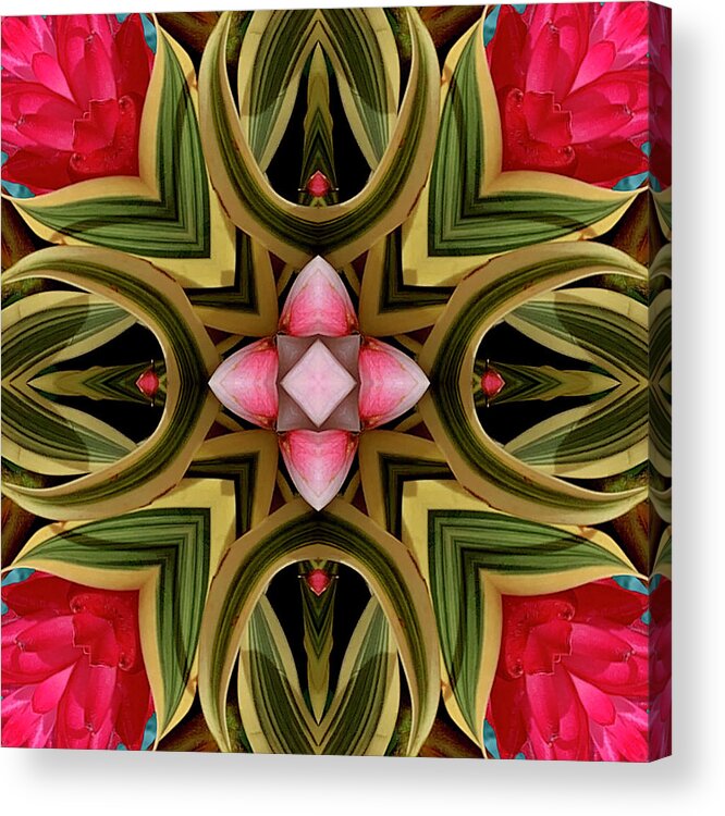 Pink Flowering Ginger Acrylic Print featuring the digital art Tropical Pink Ginger Mandala 3 by Sherrie Triest