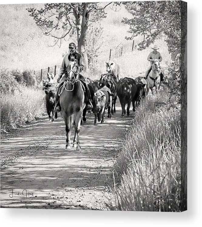 Vaqueros Acrylic Print featuring the photograph Vaqueros by Linda Lee Hall