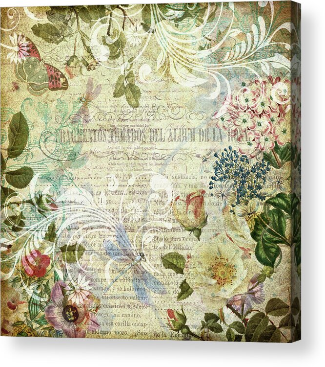 Vintage Acrylic Print featuring the mixed media Vintage Botanical Illustration Collage by Peggy Collins