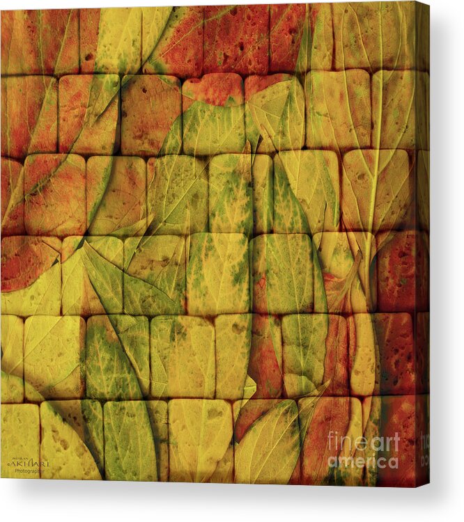 Colors Acrylic Print featuring the digital art Autumn Wall by Mehran Akhzari