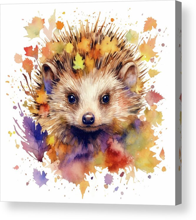Hedgehog Acrylic Print featuring the digital art Watercolor Animal 95 Hedgehog by Matthias Hauser