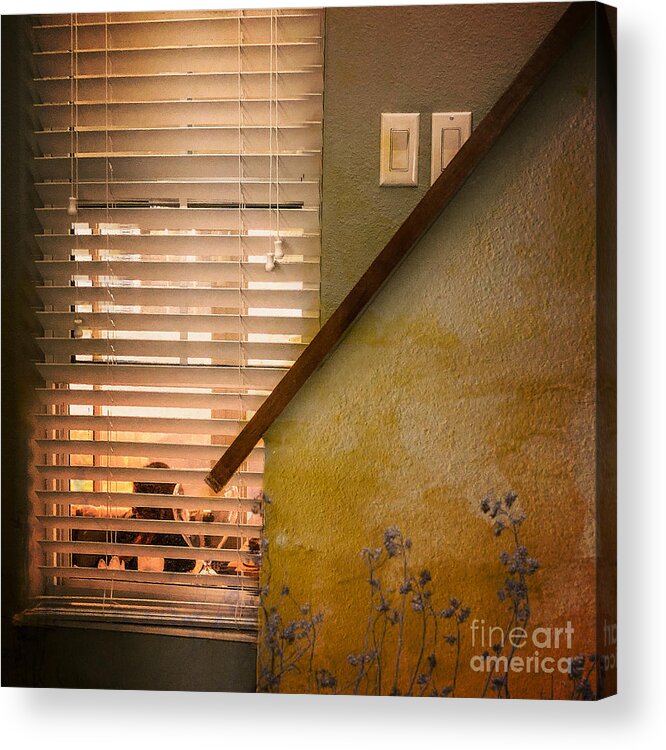 Stairwell Acrylic Print featuring the photograph What She Does by Eddy Mann