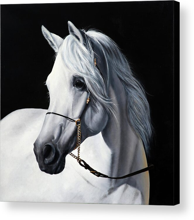 White Horse Acrylic Print featuring the painting White Horse by Danka Weitzen