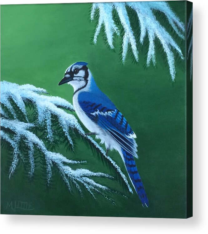 Blue Jay Acrylic Print featuring the painting Winter Blues by Marlene Little