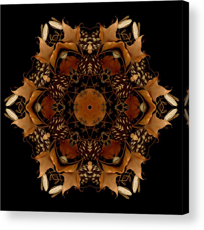 Mandala Acrylic Print featuring the photograph Winter Day 5 by Marsha Tudor