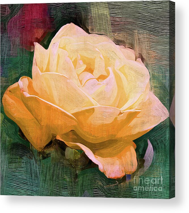Rose Acrylic Print featuring the digital art Yellow Radiant Rose by Kirt Tisdale