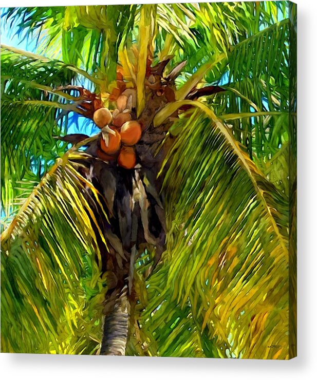 Coconut Palm Tree Acrylic Print featuring the painting Coconut Palm Tree by Stephen Jorgensen