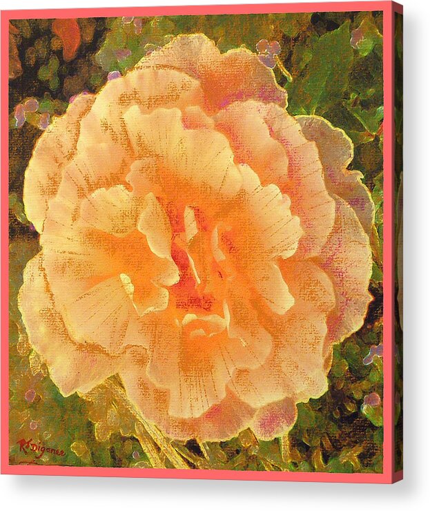 Rose Acrylic Print featuring the painting Peach Begonia by Richard James Digance