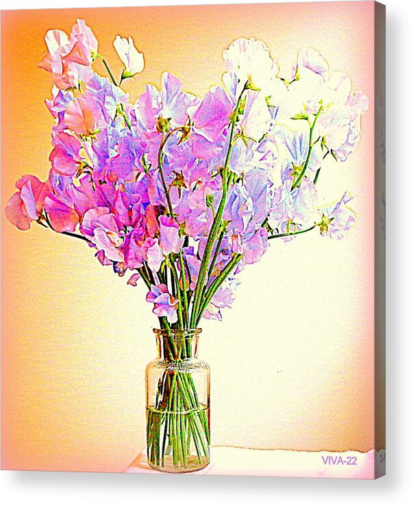 Sweet Peas Acrylic Print featuring the photograph My Sweet Peas by VIVA Anderson
