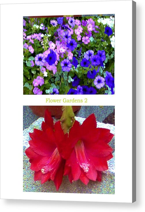 Flowers Acrylic Print featuring the photograph Flower Gardens b by Mary Ann Leitch