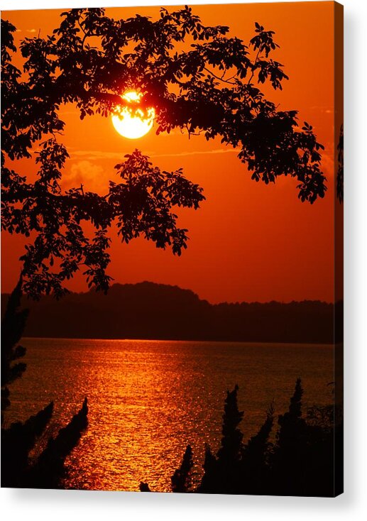 Autumn Acrylic Print featuring the photograph Paradise by Billy Beck