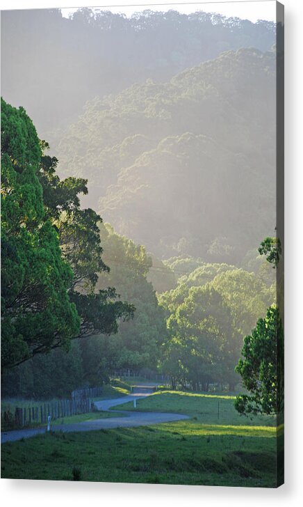 Australia Acrylic Print featuring the photograph Country Road by Ankya Klay