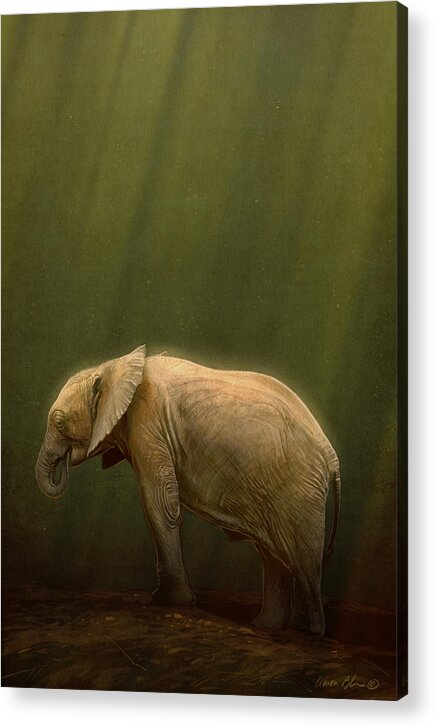 Elephant Acrylic Print featuring the digital art The Orphin by Aaron Blaise