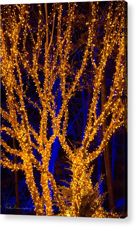 Christmas Acrylic Print featuring the photograph Gold Tree on Blue 5679 by Dan Beauvais