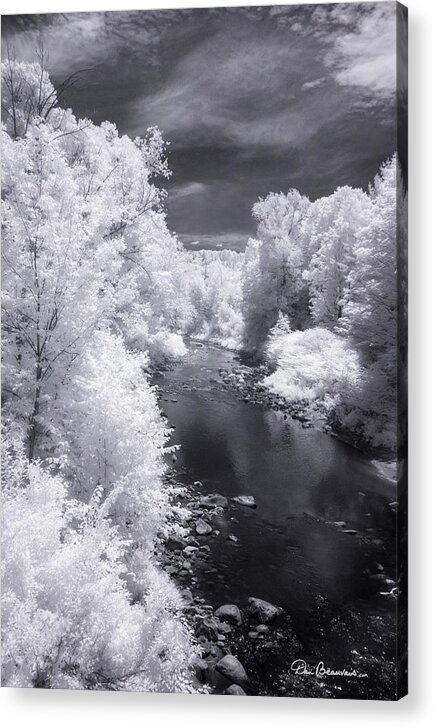 Vermont Acrylic Print featuring the photograph North Branch, Deerfield River 4657 by Dan Beauvais