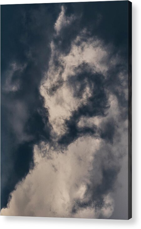 Sky Life Look Up Acrylic Print featuring the photograph Sky Life Look Up by Steven Poulton