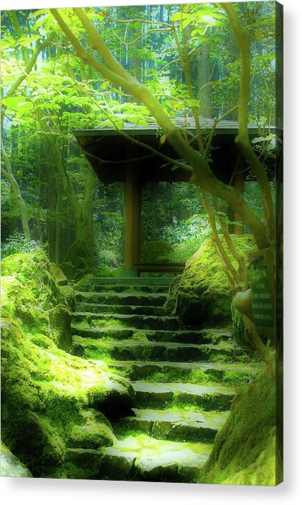 Green Acrylic Print featuring the photograph The Emerald Stairs by Tim Ernst