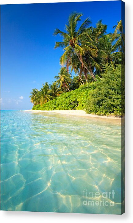 Maldives Acrylic Print featuring the photograph Tropical beach - Maldives by Matteo Colombo