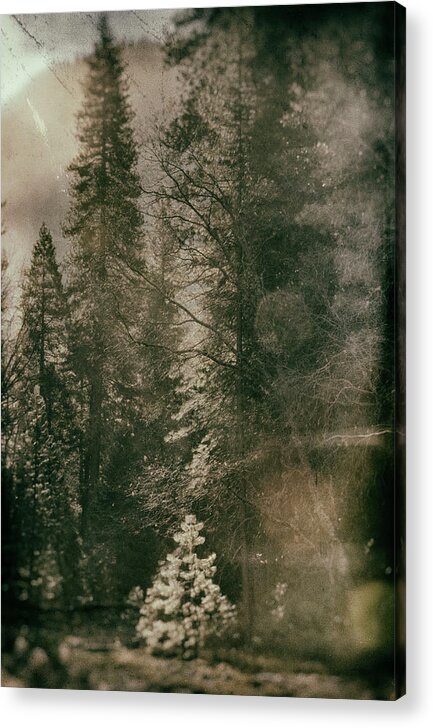 Yosemite Acrylic Print featuring the photograph Yosemite Valley Collodion by Lawrence Knutsson