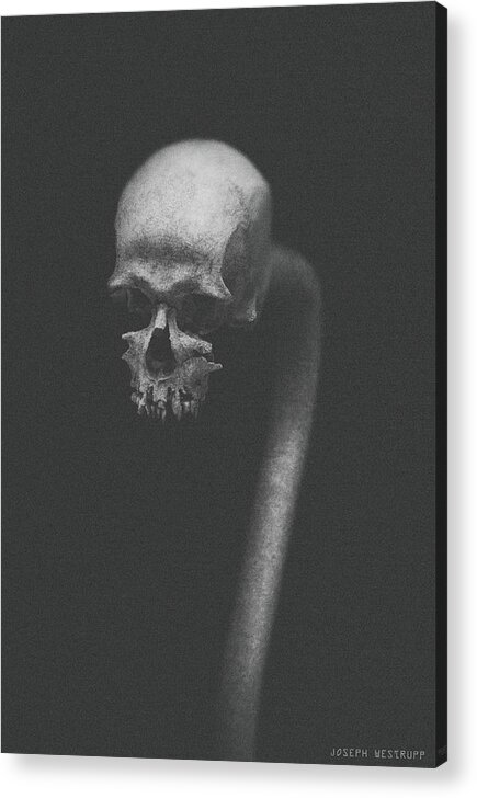 Skull Acrylic Print featuring the photograph Cranium Ophidian Ashen by Joseph Westrupp