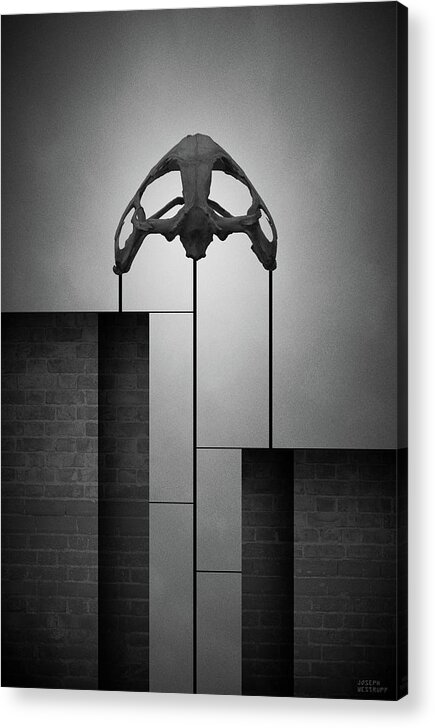 Graphic Acrylic Print featuring the photograph Disjecta ii by Joseph Westrupp