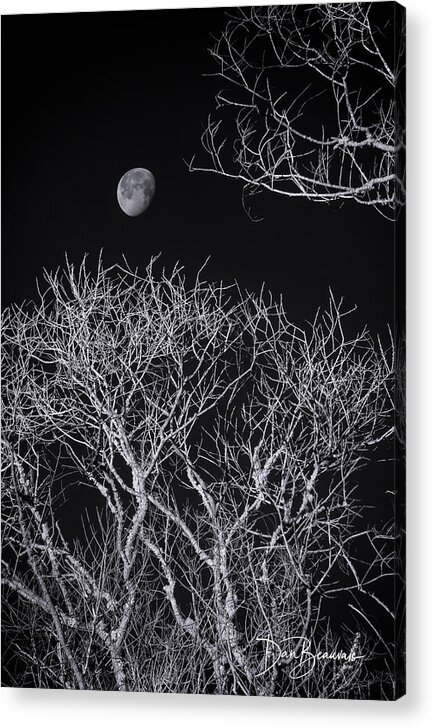 Moon Acrylic Print featuring the photograph Moon and Bare Trees 6957 by Dan Beauvais
