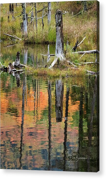 New England Acrylic Print featuring the photograph Reflection in a Beaver Pond #5039 by Dan Beauvais