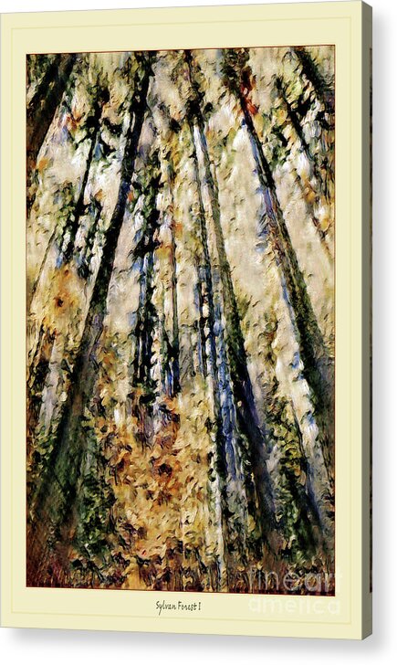 Shadow Catchers Acrylic Print featuring the photograph Sylvan Forest #1 by Susan Parish