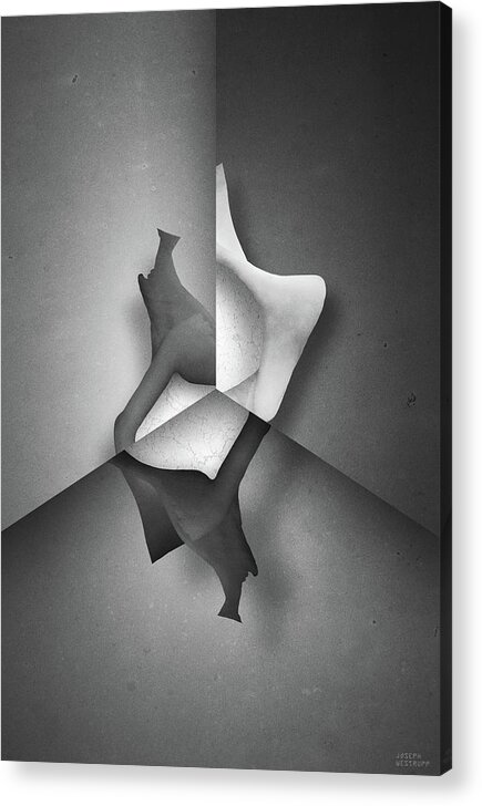 Abstract Acrylic Print featuring the photograph Taxon iii by Joseph Westrupp